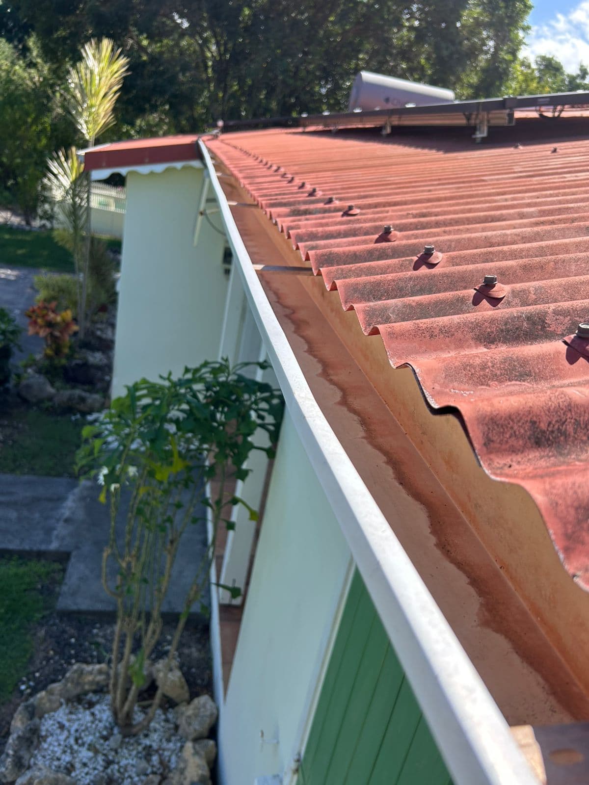 Application d'un traitement antifongique sur gouttières en Guadeloupe