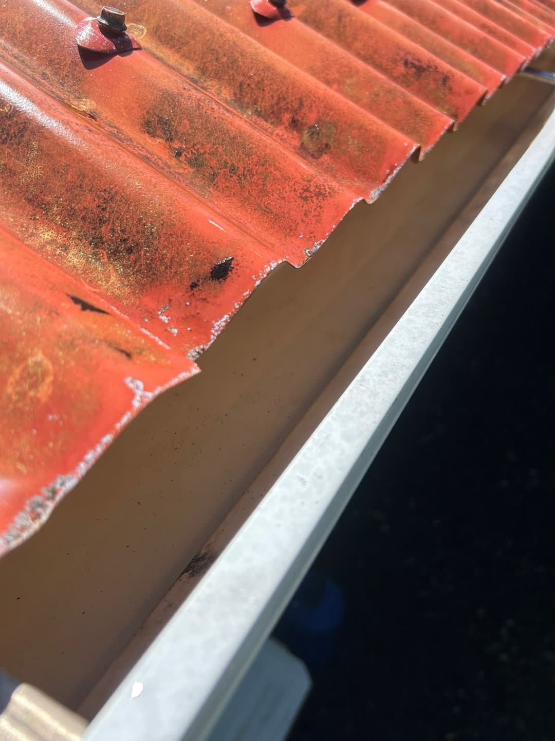 Entretien de Gouttières