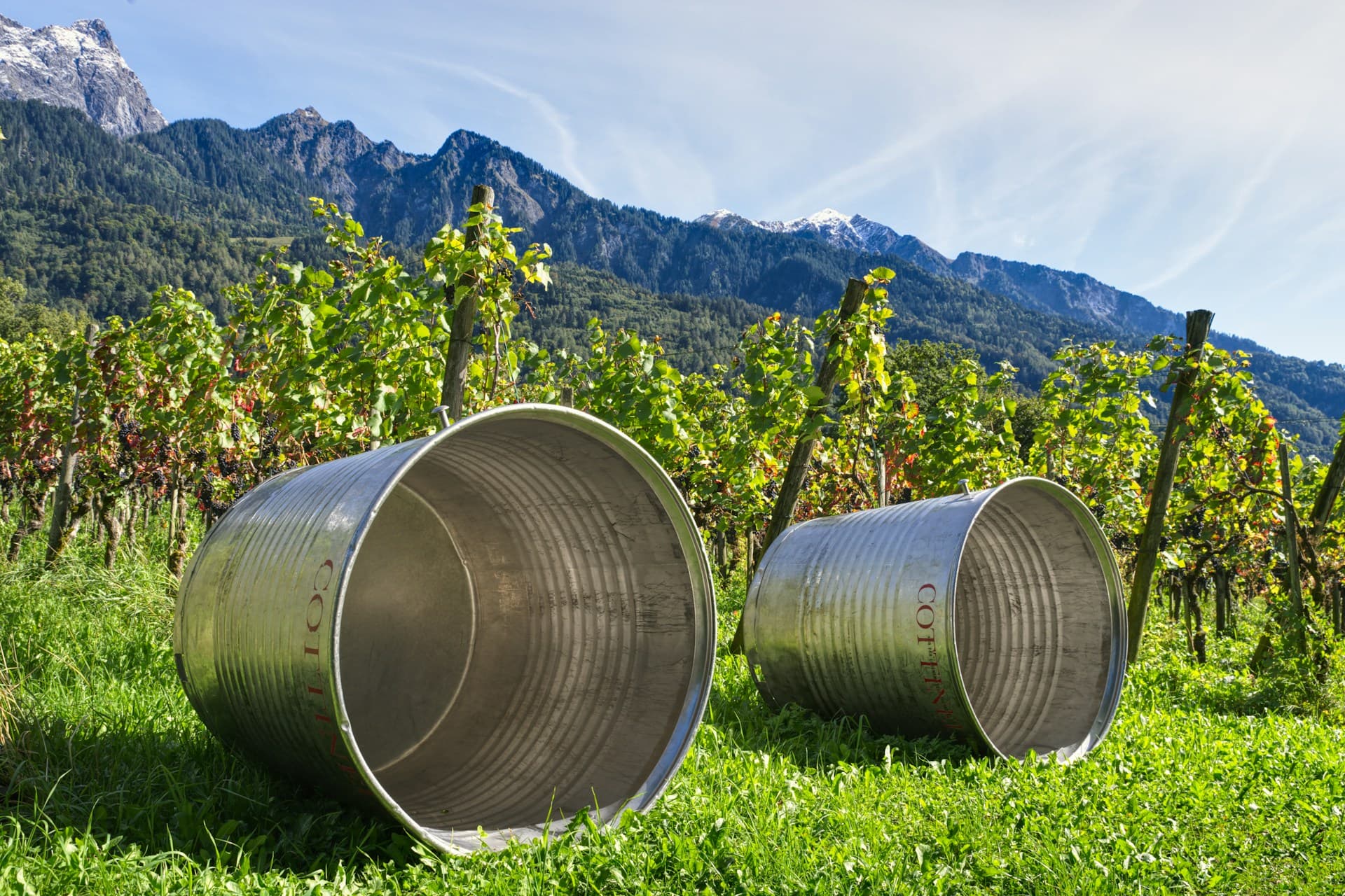 Nettoyer sa cuve d&rsquo;eau en Guadeloupe : guide complet