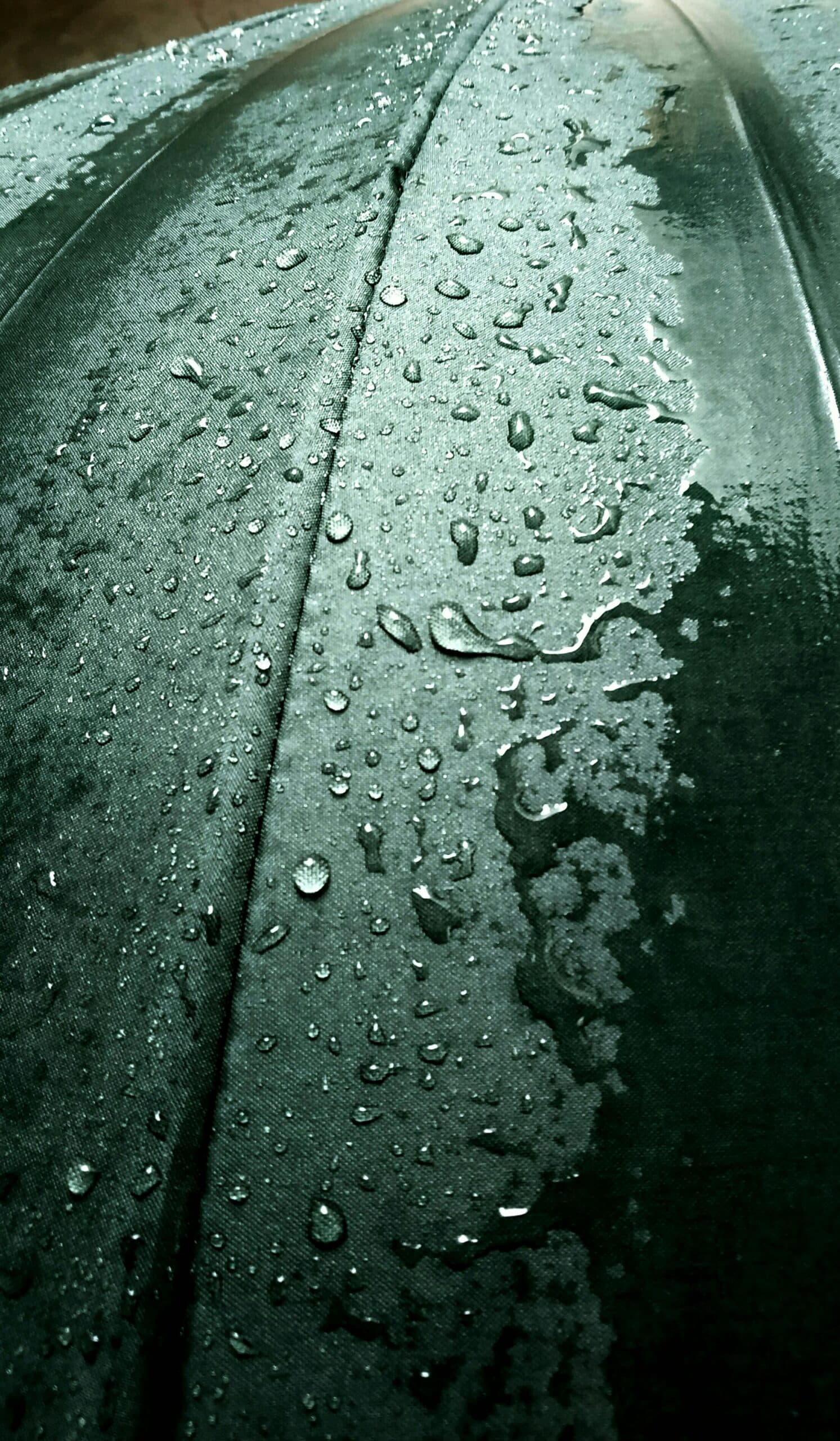 Traitement eau de pluie : guide complet pour citerne